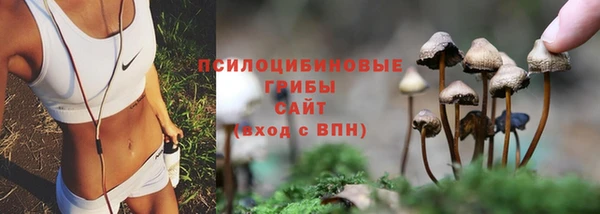 прущие крисы Белокуриха