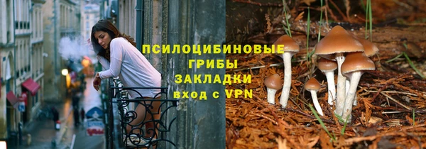 прущие крисы Белокуриха