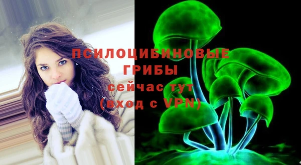 прущие крисы Белокуриха