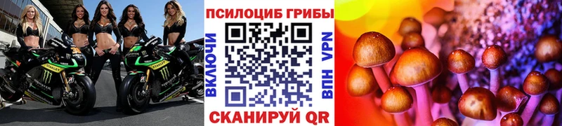 Псилоцибиновые грибы GOLDEN TEACHER  кракен   Плёс 